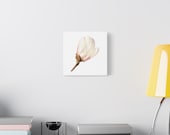 Pink Magnolia Botanical Canvas, alternate view (Bill Shew)
