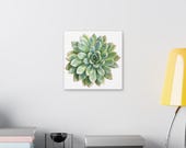 Green Echeveria Succulent Botanical Art Classic Stretched Canvas | Floral Wall Decor, detail view (Bill Shew)