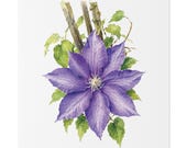 Purple Clematis Botanical Art Classic Stretched Canvas | Floral Wall Decor, close-up (Bill Shew)