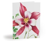 Pink White Columbine Watercolor Greeting Card, Aquilegia Floral Art (Pack of 8) by Bill Shew
