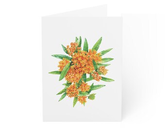 Butterfly Weed Greeting Card, Digital Art Print, Botanical Card, Blank Inside