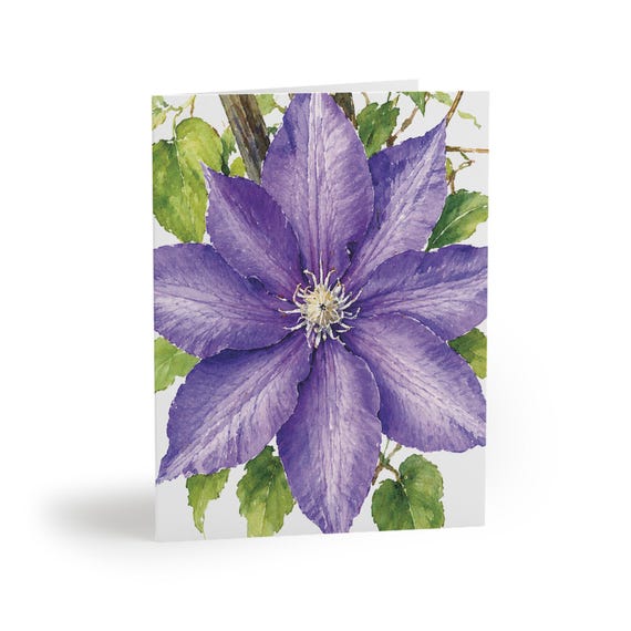 Purple Clematis Watercolor Greeting Card, Botanical Floral Illustration (Blank Note Card) Purple Clematis Watercolor Greeting Card, Botanical Floral Illustration (Blank Note Card) by Bill Shew