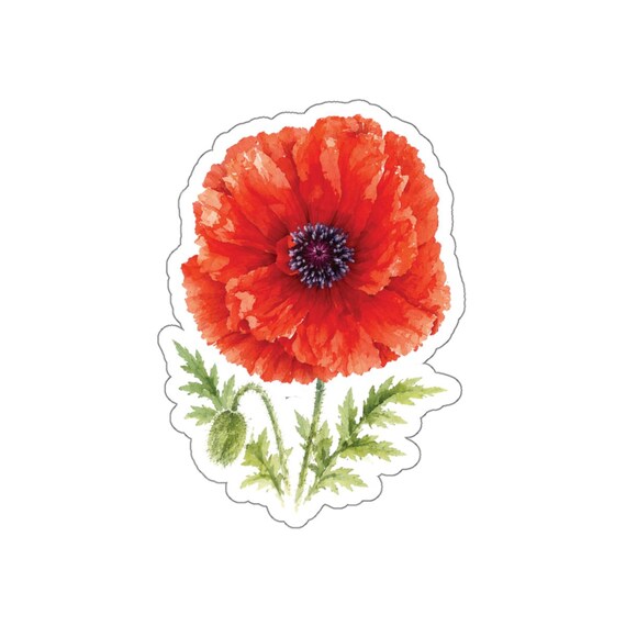 Red Poppy Sticker, Watercolor Poppy Flower Sticker, Botanical Floral Sticker by Bill Shew