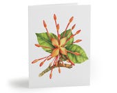 Watercolor Orange Flower Greeting Card, Botanical Floral Note Card (Blank) by Bill Shew