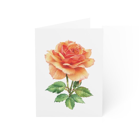 Orange Rose Greeting Card, Apricot Rose Digital Art Print, Botanical Card, Blank Inside for Any Occasion, Bill Shew wall art print