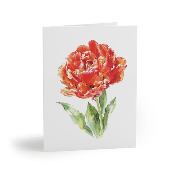 8 cards - Orange Parrot Tulip Watercolor Botanical Greeting Card, Spring Floral Note by Bill Shew