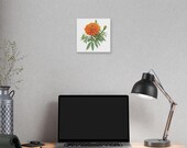 Orange Marigold Botanical Art Classic Stretched Canvas | Floral Garden Wall Decor, in-room view (Bill Shew)