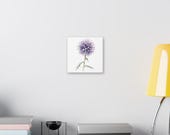 Purple Globe Thistle Botanical Art Classic Stretched Canvas | Wildflower Wall Decor, alternate view (Bill Shew)