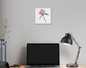 Purple Red Clover Botanical Art Classic Stretched Canvas | Floral Wall Decor, in-room view (Bill Shew)