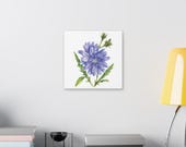 Blue Chicory Botanical Art Classic Stretched Canvas | Wildflower Wall Decor, detail view (Bill Shew)