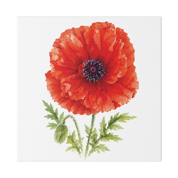 Red Oriental Poppy Botanical Art Classic Stretched Canvas | Floral Wall Decor, Bill Shew canvas print
