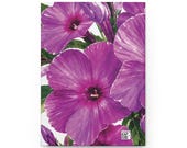 Wild Phlox Hardcover Journal | Purple Floral Notebook, Lined Pages (150), in-room view (Bill Shew)