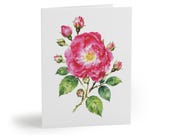 8 cards - Pink Peony Watercolor Greeting Card, Botanical Floral Art Note Card by Bill Shew