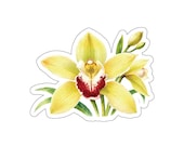 Watercolor Yellow Cymbidium Orchid Sticker, Botanical Floral Decal by Bill Shew