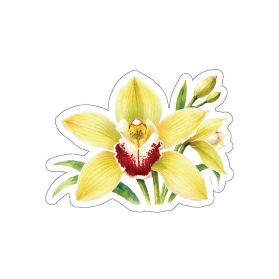 Yellow Cymbidium Orchid Sticker, Yellow Orchid Flower Sticker, Botanical Floral Sticker by Bill Shew