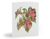 8 cards - Caladium Watercolor Greeting Card, Pink and Green Tropical Leaves by Bill Shew