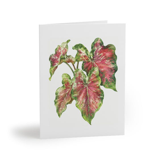 8 cards - Caladium Watercolor Greeting Card, Pink and Green Tropical Leaves by Bill Shew