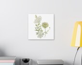 Queen Anne's Lace Botanical Art Classic Stretched Canvas | White Wildflower Wall Decor, detail view (Bill Shew)