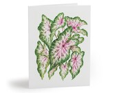 Caladium Watercolor Greeting Card – Pink White Green Tropical Leaves Botanical Art by Bill Shew