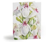 White Turtlehead Flower Greeting Card, Botanical Watercolor Blooms (Pack of 8, 16, or 24) by Bill Shew