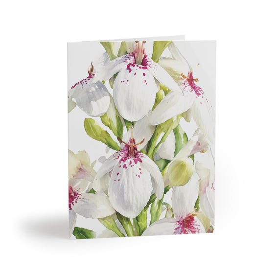 White Turtlehead Flower Greeting Card, Botanical Watercolor Blooms (Pack of 8, 16, or 24) White Turtlehead Flower Greeting Card, Botanical Watercolor Blooms (Pack of 8, 16, or 24) by Bill Shew