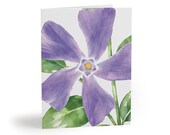 Purple Periwinkle Watercolor Greeting Card, Botanical Floral Art (Pack of 8, 16, or 24) by Bill Shew
