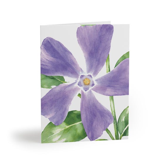 Purple Periwinkle Watercolor Greeting Card, Botanical Floral Art (Pack of 8, 16, or 24) Purple Periwinkle Watercolor Greeting Card, Botanical Floral Art (Pack of 8, 16, or 24) by Bill Shew