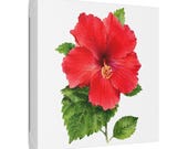 Red Hibiscus Botanical Art Classic Stretched Canvas | Floral Wall Decor, framing detail (Bill Shew)