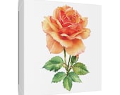 Apricot Orange Rose Botanical Art Classic Stretched Canvas | Floral Wall Decor, framing detail (Bill Shew)