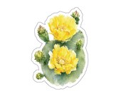 Yellow Prickly Pear Cactus Blossom Sticker, Watercolor Botanical Decal by Bill Shew