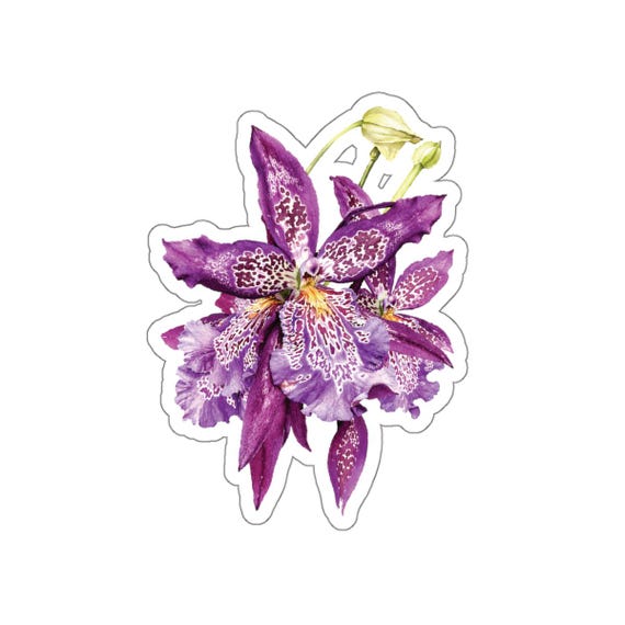 Purple Iris Sticker, Watercolor Iris Flower Sticker, Botanical Floral Sticker by Bill Shew