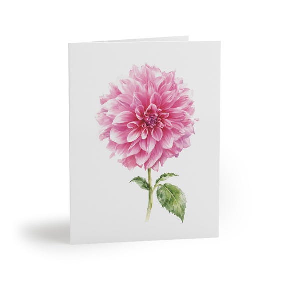 8 cards - Pink Dahlia Botanical Watercolor Greeting Card, Floral Art Note Card 8 cards - Pink Dahlia Botanical Watercolor Greeting Card, Floral Art Note Card by Bill Shew