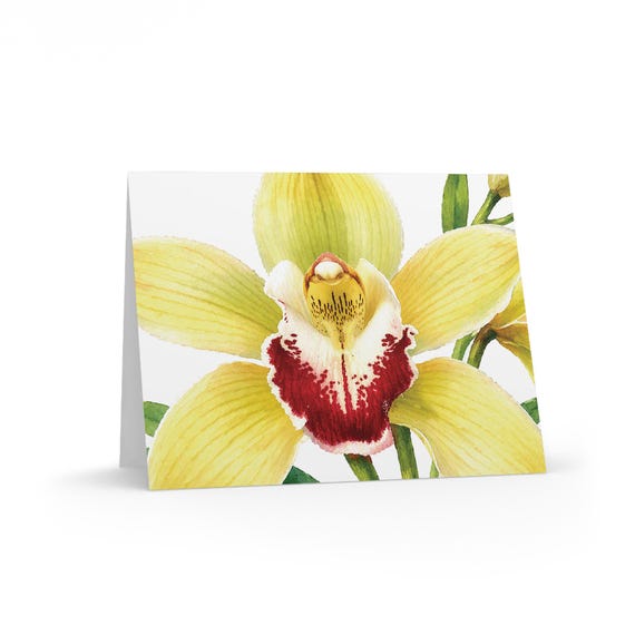 Yellow Cymbidium Orchid Watercolor Greeting Card, Botanical Floral Art Yellow Cymbidium Orchid Watercolor Greeting Card, Botanical Floral Art by Bill Shew