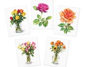Watercolor Rose Note Cards, Assorted Bouquet Prints, Bill Shew note card set