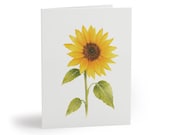 False Sunflower Botanical Watercolor Greeting Card, Yellow Wildflower Art by Bill Shew