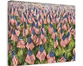 Boston Common Flag Garden Canvas Print, American Flags Digital Art Print, Memorial Wall Art, Canvas Wall Decor, detail view (Bill Shew)