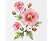 Pink Rose of Sharon Botanical Art Classic Stretched Canvas | Floral Wall Decor, Bill Shew canvas print