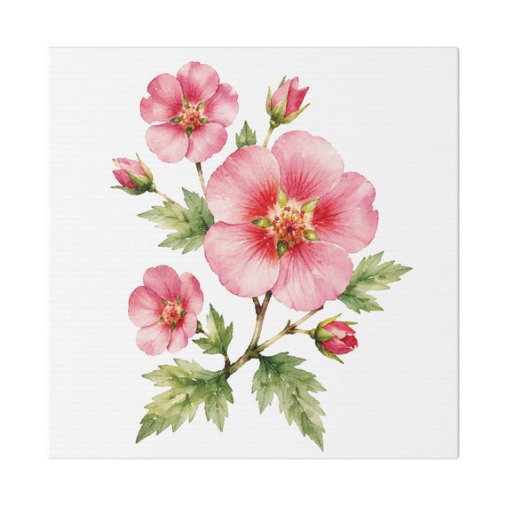 Pink Rose of Sharon Botanical Art Classic Stretched Canvas | Floral Wall Decor, Bill Shew canvas print