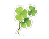 Clover Sticker, Four Leaf Clover Sticker, Shamrock Die Cut Sticker by Bill Shew