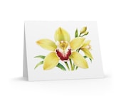 8 cards - Yellow Cymbidium Orchid Watercolor Greeting Card, Botanical Orchid Illustration by Bill Shew