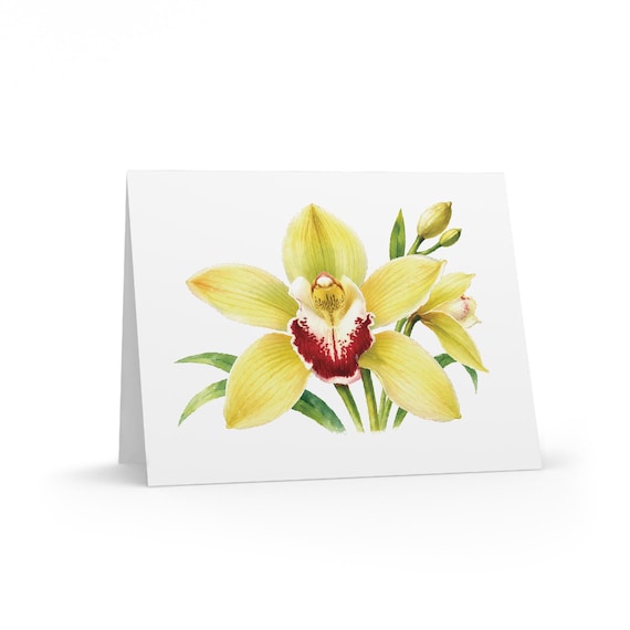8 cards - Yellow Cymbidium Orchid Watercolor Greeting Card, Botanical Orchid Illustration by Bill Shew