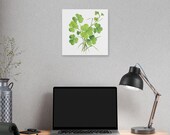 Green Clover Botanical Art Classic Stretched Canvas | Lucky Clover Wall Decor, alternate view (Bill Shew)