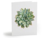 Echeveria Succulent Watercolor Greeting Card – Botanical Rosette Art (Pack of 8) by Bill Shew
