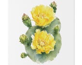 Yellow Prickly Pear Cactus Botanical Art Classic Stretched Canvas, Bill Shew canvas print