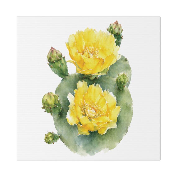 Yellow Prickly Pear Cactus Botanical Art Classic Stretched Canvas, Bill Shew canvas print