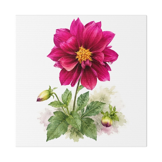 Magenta Dahlia Botanical Art Classic Stretched Canvas | Floral Wall Decor, Bill Shew canvas print