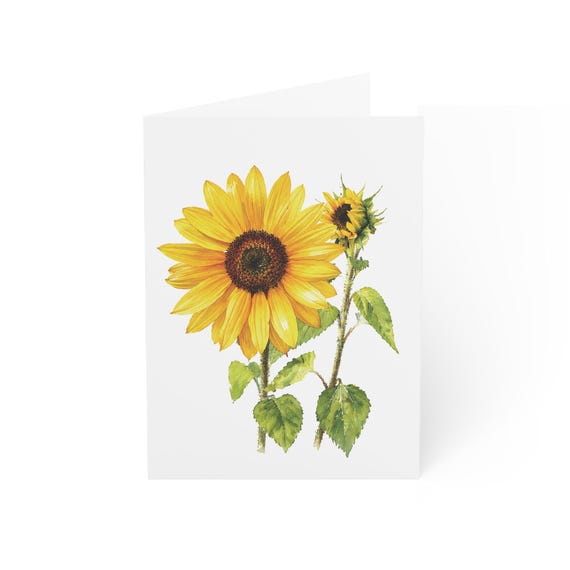 Sunflower Greeting Card, Digital Art Print, Botanical Card, Blank Inside for Any Occasion, Bill Shew wall art print