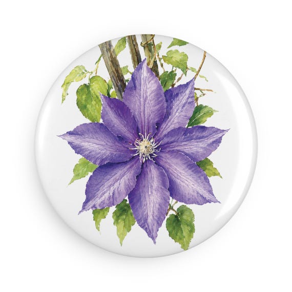 Purple Clematis Magnet, Watercolor Clematis Flower Fridge Magnet, Botanical Floral Magnet by Bill Shew
