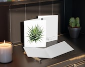 Zebra Haworthia Watercolor Greeting Card – Botanical Succulent Art Print (8 Cards), alternate view (Bill Shew)
