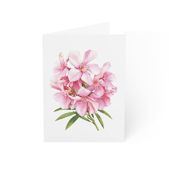 Blush Oleander Card, Digital Art Print, Botanical Card, Blank Inside, Bill Shew wall art print
